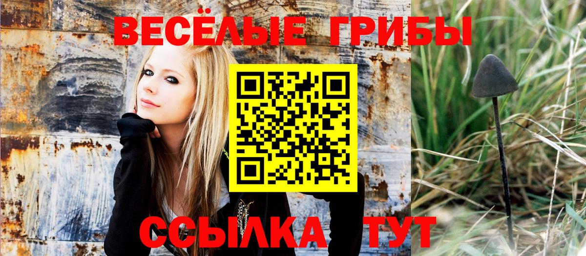 Псилоцибиновые грибы Psilocybine cubensis  Вход с VPN  Джанкой 